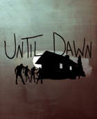 Until Dawn